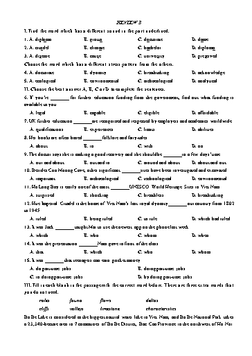 Bài tập bổ trợ Tiếng Anh Lớp 11 Global Success - Review 3 (Có đáp án)
