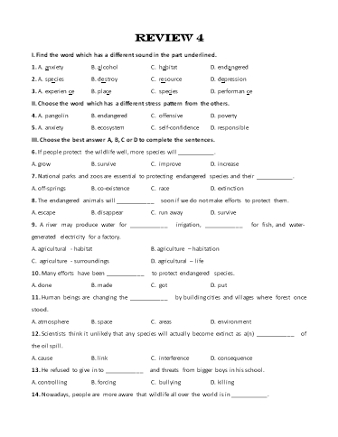 Bài tập bổ trợ Tiếng Anh Lớp 11 Global Success - Review 4 (Có đáp án)