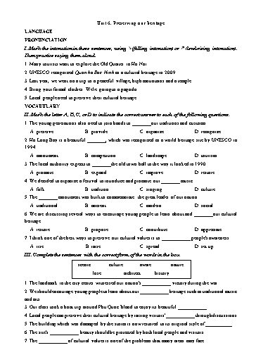 Bài tập bổ trợ Tiếng Anh Lớp 11 Global Success theo unit - Unit 6: Preserving our heritage (Có đáp án)