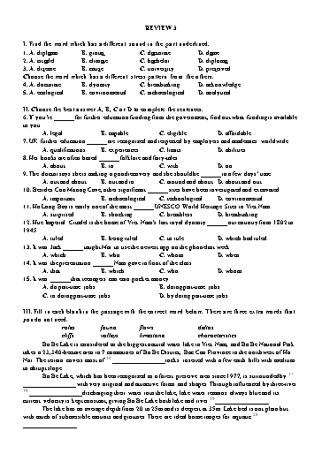 Bài tập Tiếng Anh Lớp 11 Global Success - Review 3 (Có đáp án)