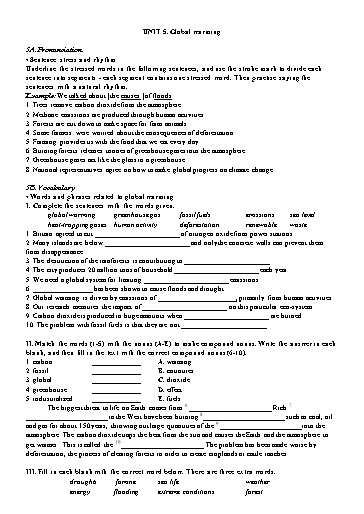 Bài tập Tiếng Anh Lớp 11 Global Success - Unit 5: Global warming (Có đáp án)