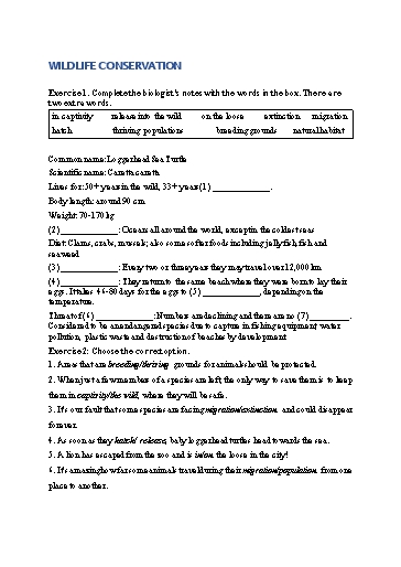 Bài tập Tiếng Anh Lớp 12 Global Success - Unit 8 - Phần: Vocabulary (Có đáp án)