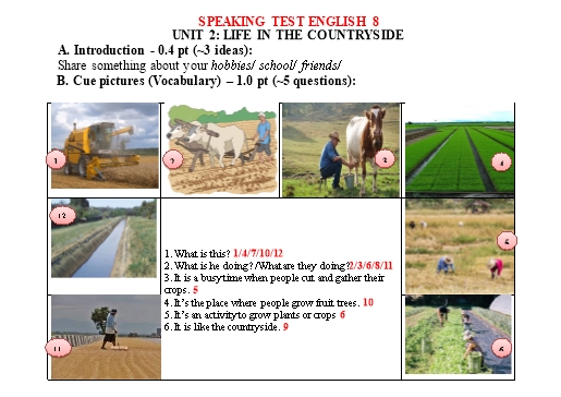 Chủ đề thi nói Tiếng Anh Lớp 8 Global Success - Unit 2: Life in the countryside (Có gợi ý)