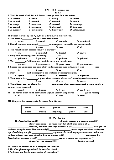 Đề kiểm tra Tiếng Anh Lớp 11 Global Success - Unit 10: The ecosystem - Test 3 (Có đáp án)