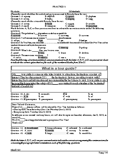 Đề luyện tập Tiếng Anh Lớp 11 Global Success theo form 2025 - Đề 12 (Có đáp án)