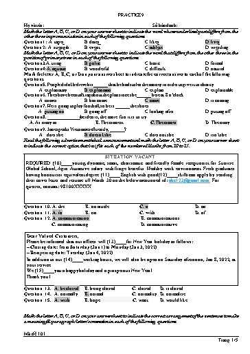 Đề luyện tập Tiếng Anh Lớp 11 Global Success theo form 2025 - Đề 9 (Có đáp án)