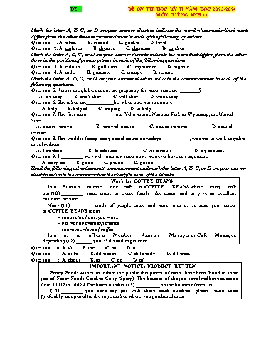 Đề ôn thi học kì 2 Tiếng Anh Lớp 11 Global Success - Đề 1 - Năm học 2023-2024 (Có đáp án)