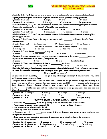 Đề ôn thi học kì 2 Tiếng Anh Lớp 11 Global Success - Đề 3 - Năm học 2023-2024 (Có đáp án)