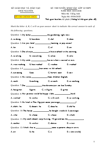 Kỳ thi tuyển sinh vào Lớp 10 THPT môn Tiếng Anh - Năm học 2023-2024 - Sở GD&ĐT Thái Nguyên (Có đáp án)