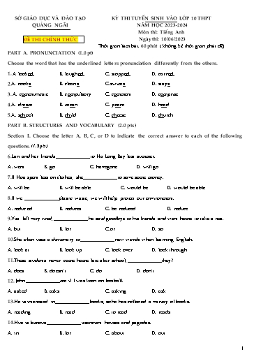 Kỳ thi tuyển sinh vào Lớp 10 THPT môn Tiếng Anh - Năm học 2023-2024 - Sở GD&ĐT Quảng Ngãi (Có đáp án)
