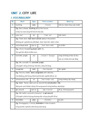 Luyện tập chuyên sâu Tiếng Anh Lớp 9 Global Success - Unit 2: City life