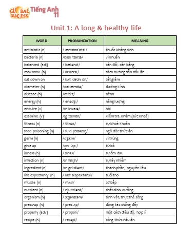 Tổng hợp từ vựng Tiếng Anh Lớp 11 Global Success